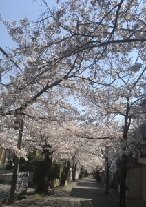 20190405_131641