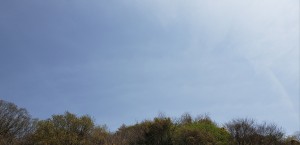 20190418_130959